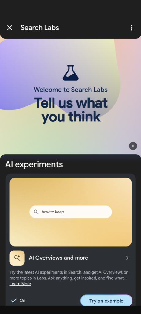 Google Search labs AI